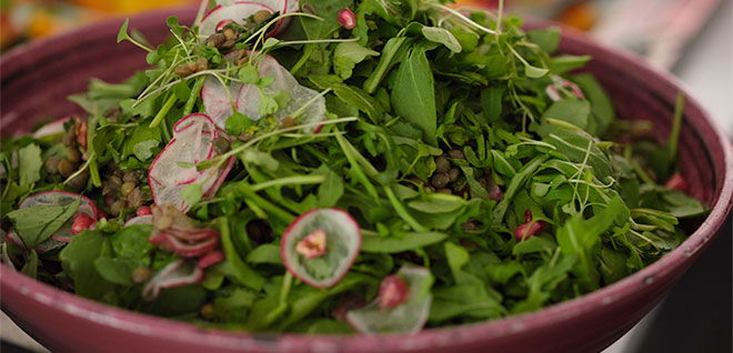 Green leafy salad